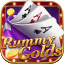 rummy ludo online