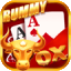 b rummy icon